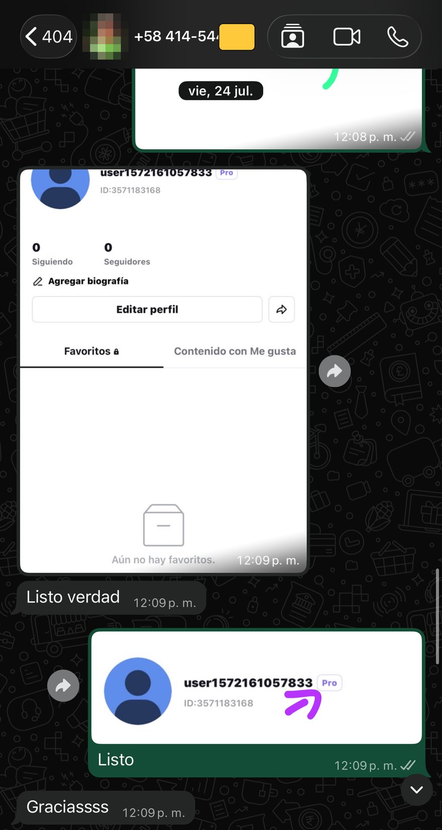 Referencia CapCut