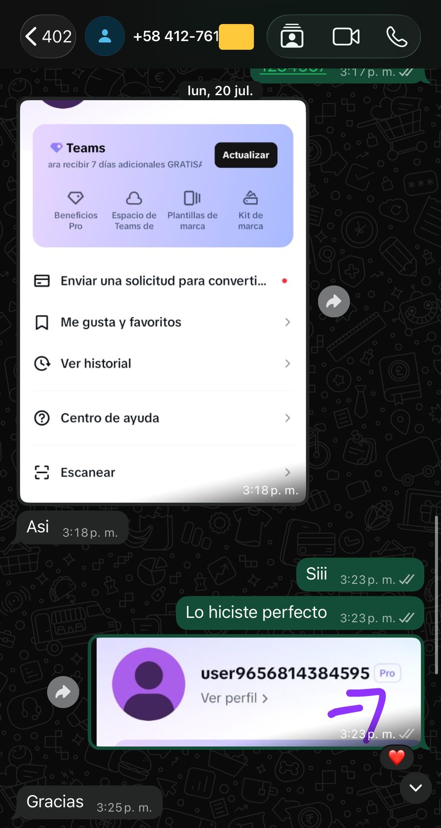 Referencia CapCut