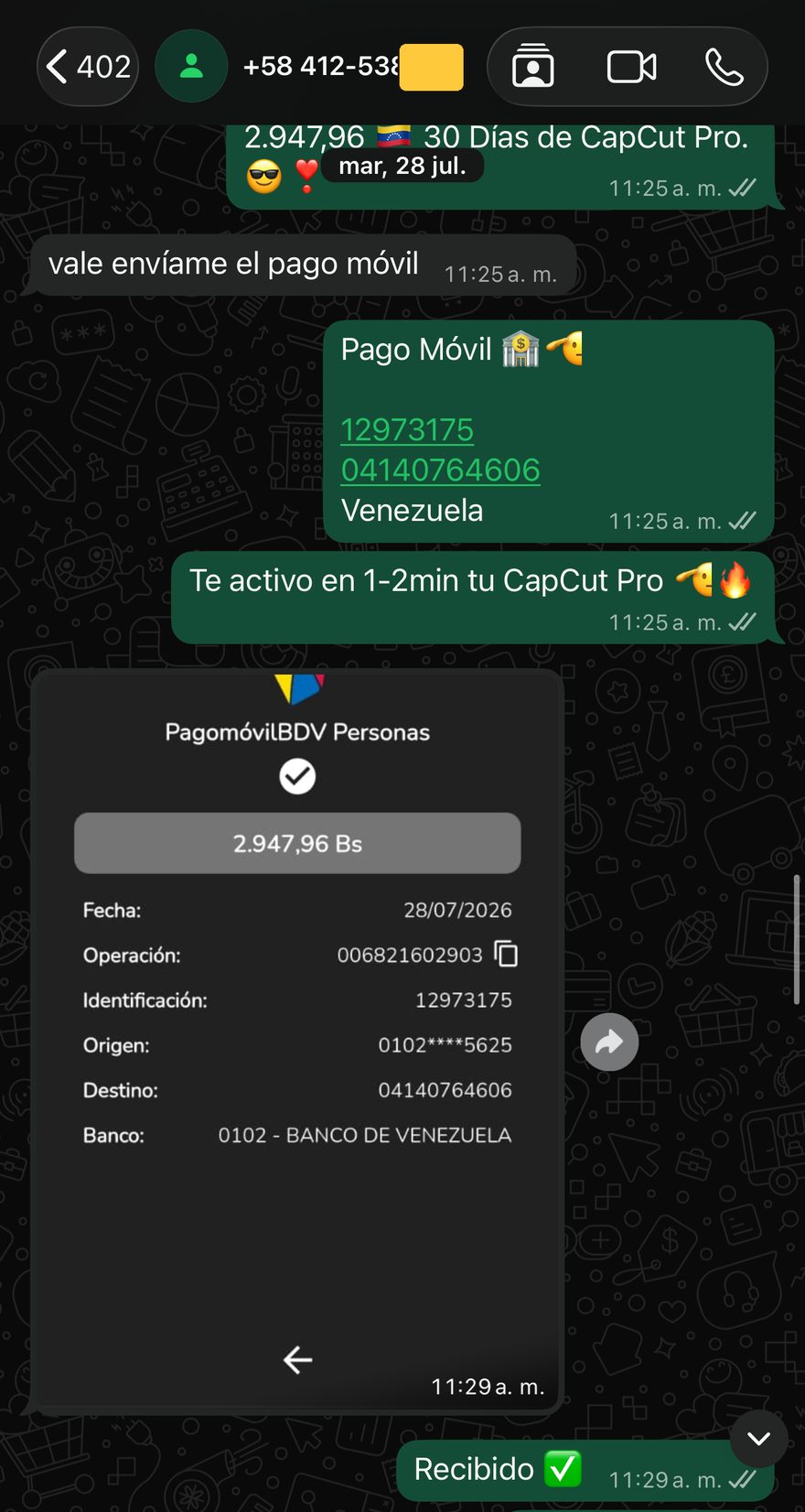 Referencia CapCut