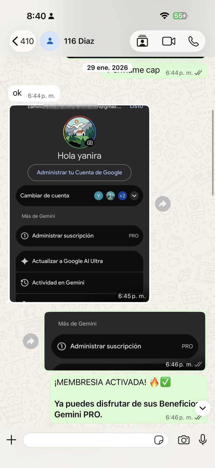 Referencia Gemini